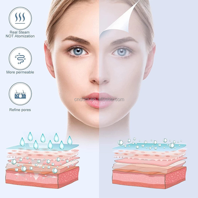 Hot Cold Nozzle Esthetician Steamer Pasokan listrik 110-240 VAC untuk Rumah Salon Kecantikan Spa