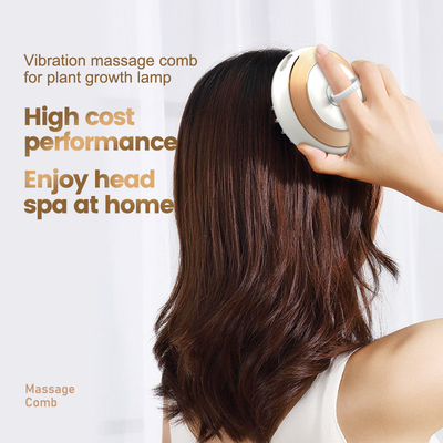 Ionic Electric Hair Growth Massager Comb untuk menghilangkan stres kepala dan perawatan rambut setiap hari